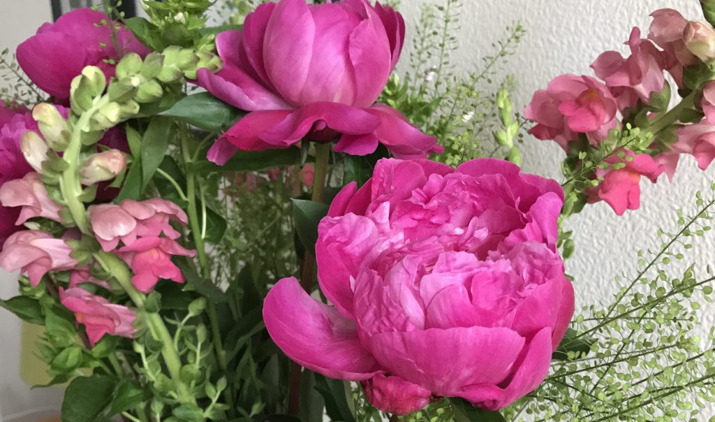 Freddie's Flowers (free with code) The Family Beehive