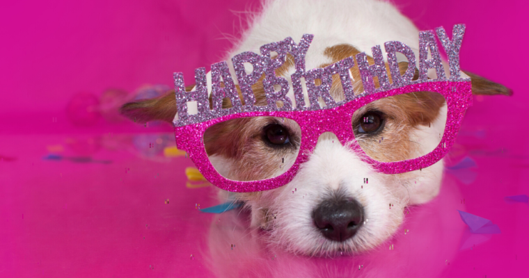 5 Great Ways to Celebrate a Pet’s Birthday